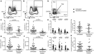 The Calcineurin Inhibitor Tacrolimus Specifically Suppresses Human T Follicular Helper Cells
